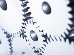 �����񍐎ʐ^